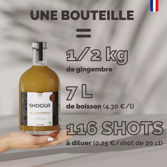 Concentré de Gingembre Bio — Shogga — photo 10