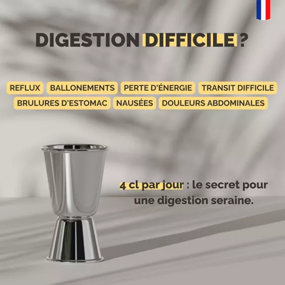 Concentré de Gingembre Bio — Shogga — photo 11