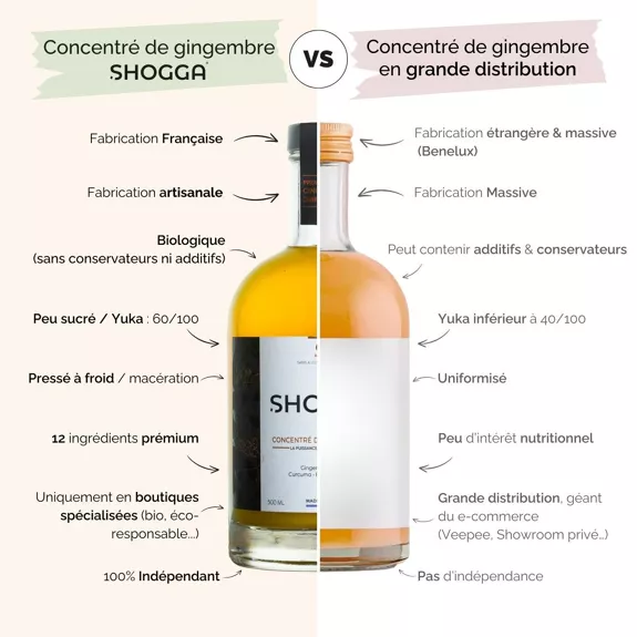 Concentré de Gingembre Bio — Shogga — photo 4