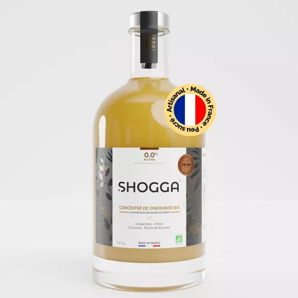 Concentré de Gingembre Bio — Shogga — photo 6