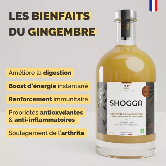 Concentré de Gingembre Bio — Shogga — photo 7