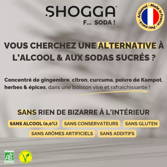 Concentré de Gingembre Bio — Shogga — photo 8