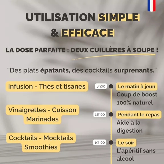 Concentré de Gingembre Bio — Shogga — photo 9