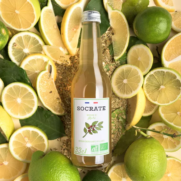 Infusion de Maté — Socrate — photo 1