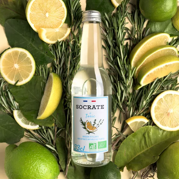 Le Tonic — Socrate — photo 2