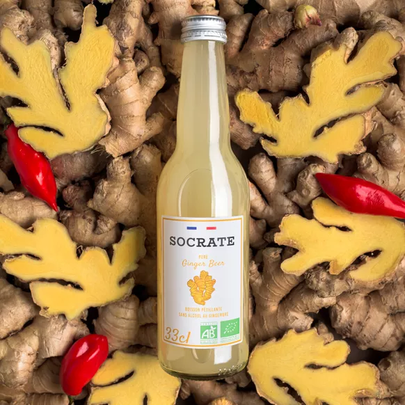 Pure Ginger Beer — Socrate — photo 2