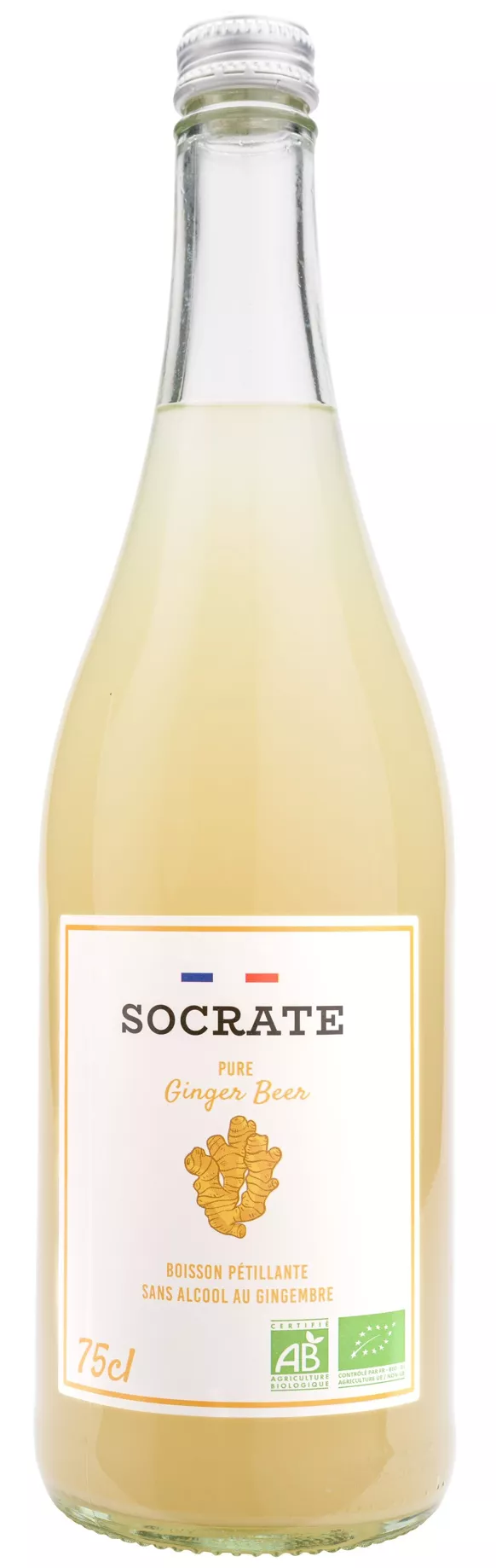 Pure Ginger Beer — Socrate — photo 5