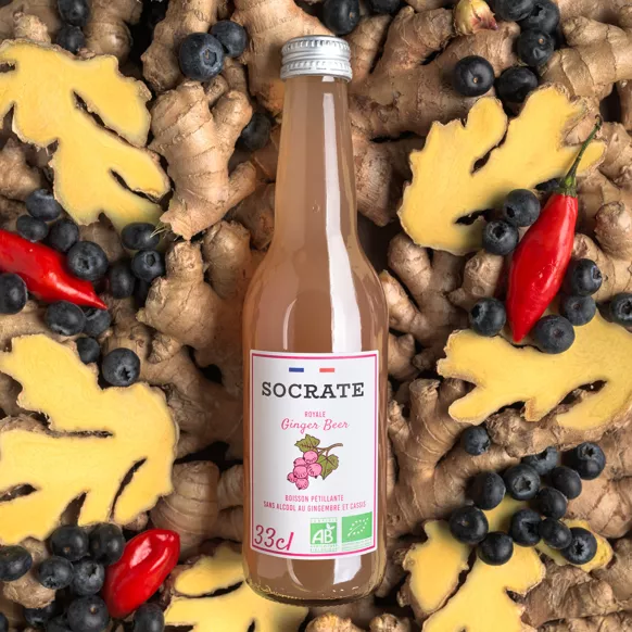 Royale Ginger Beer — Socrate — photo 2
