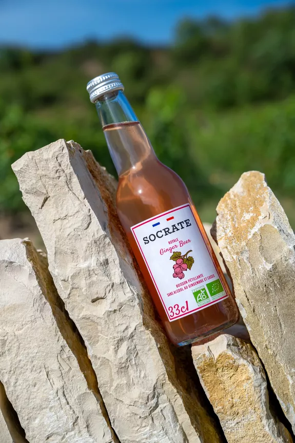Royale Ginger Beer — Socrate — photo 3